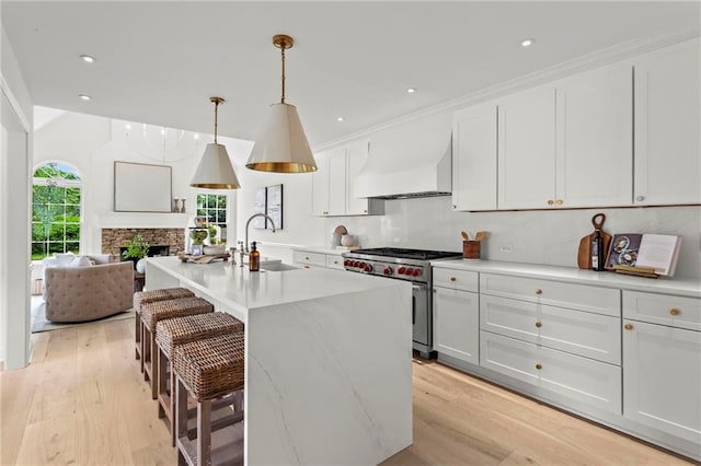 600 Delphinium Blvd NW, Acworth, GA 30102 - kitchen featuring high end range, custom exhaust hood, a sink, light wood finished floors, and recessed lighting