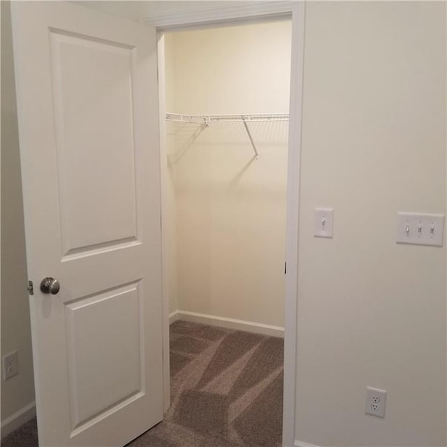 walk in closet with carpet floors