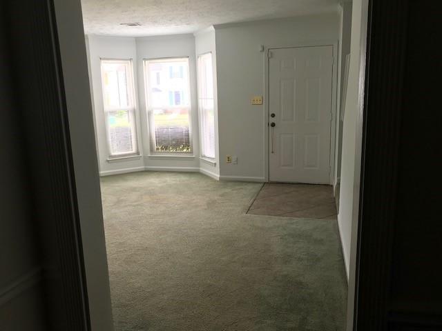 carpeted foyer with a wealth of natural light and a textured ceiling