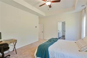 bedroom featuring ceiling fan, carpet floors, and a raised ceiling