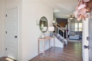 entrance foyer featuring ceiling fan and dark wood-type flooring