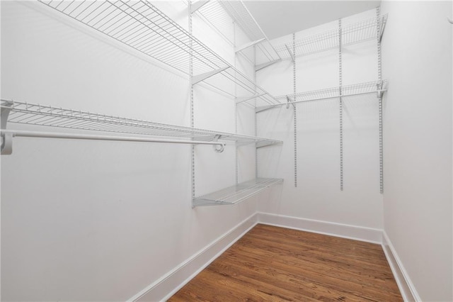 spacious closet featuring hardwood / wood-style floors