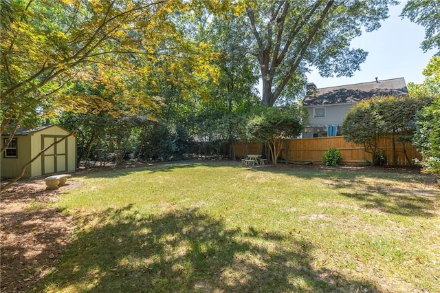 view of yard featuring a storage unit