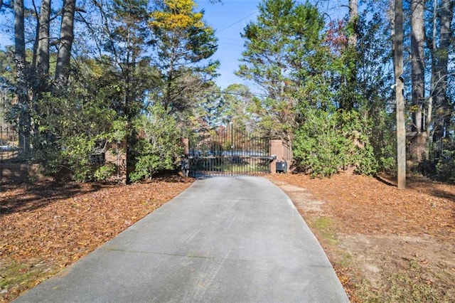 200 Mcguirts Bridge Rd, Covington, GA 30014 - view of asphalt driveway featuring a gate