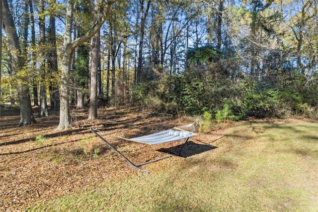 200 Mcguirts Bridge Rd, Covington, GA 30014 - view of green lawn