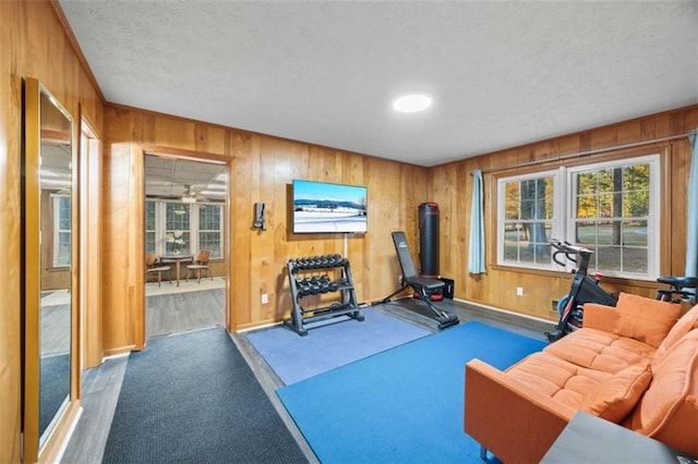 200 Mcguirts Bridge Rd, Covington, GA 30014 - exercise room featuring a textured ceiling, healthy amount of natural light, wood walls, carpet flooring, and baseboards