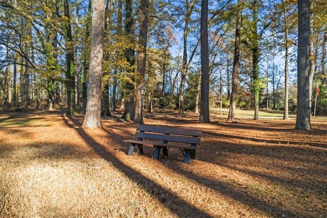200 Mcguirts Bridge Rd, Covington, GA 30014 - view of surrounding community