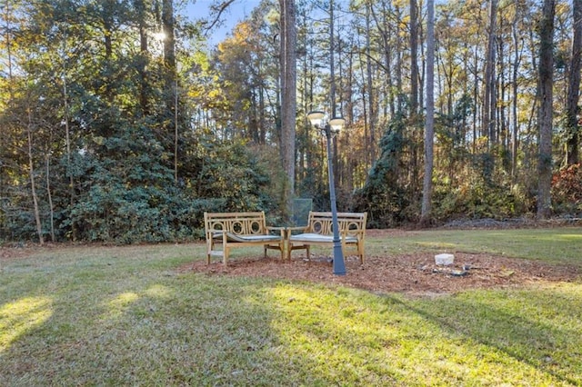 200 Mcguirts Bridge Rd, Covington, GA 30014 - view of green lawn