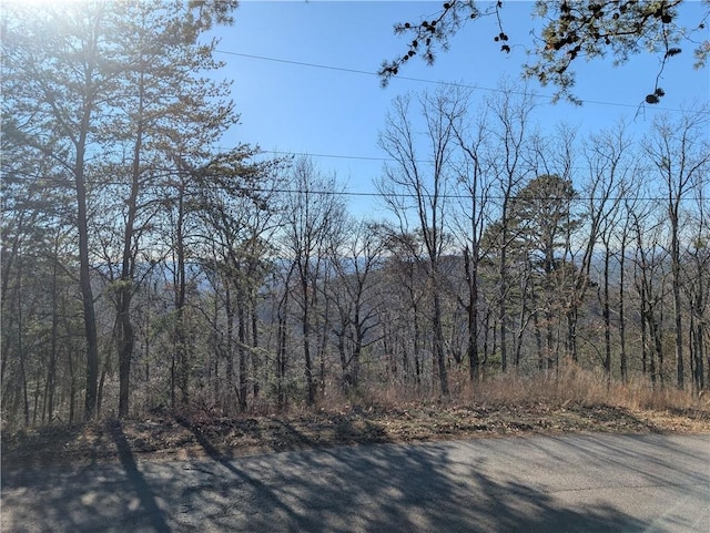 185 Stirratt Rd, Ranger GA, 30734 land for sale