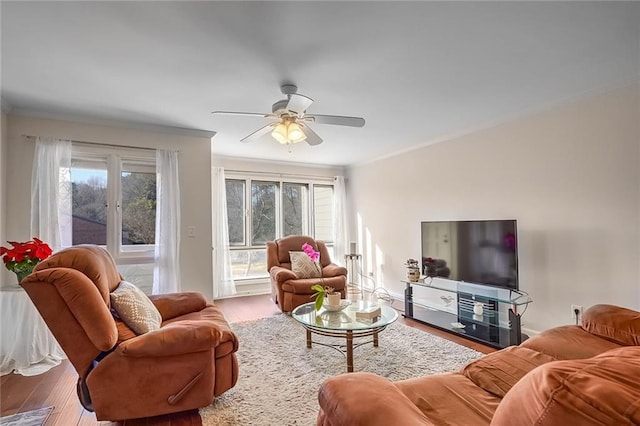 living room featuring wood-type flooring, a healthy amount of sunlight, ceiling fan, and ornamental molding