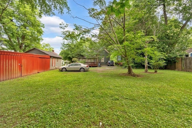 226 Noyes St, Cedartown, GA 30125 - view of yard