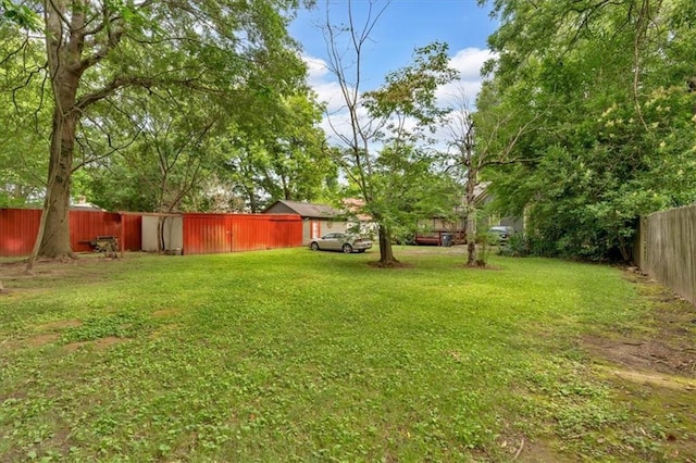 226 Noyes St, Cedartown, GA 30125 - view of yard