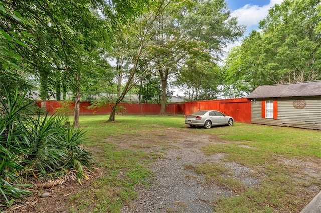 226 Noyes St, Cedartown, GA 30125 - view of yard
