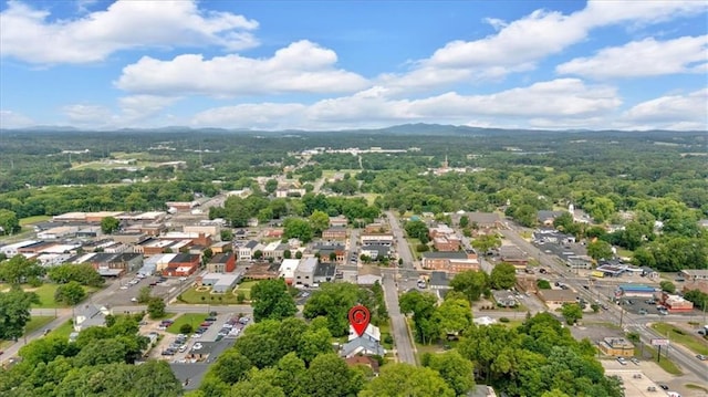 226 Noyes St, Cedartown, GA 30125 - aerial view of property's location