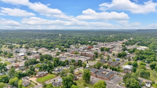 226 Noyes St, Cedartown, GA 30125 - aerial view of a forest