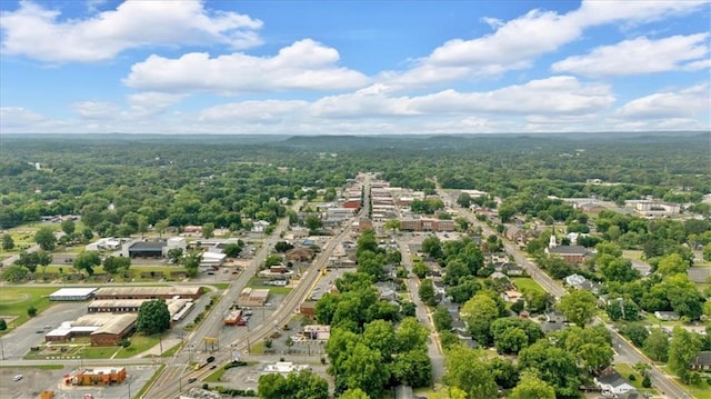 226 Noyes St, Cedartown, GA 30125 - bird's eye view of a forest