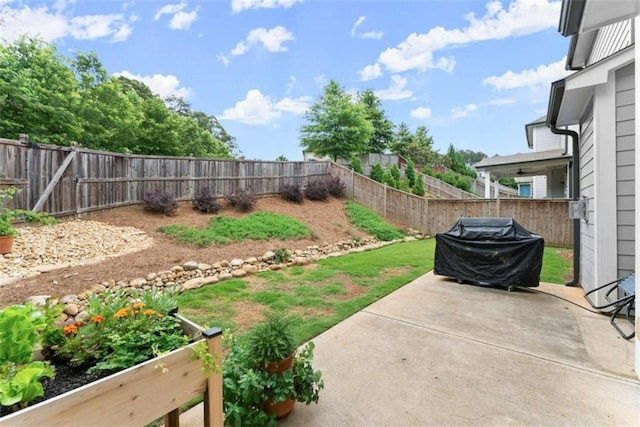 view of yard with a patio area