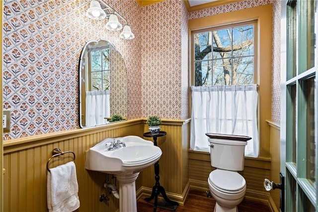 bathroom featuring wood-type flooring, a wealth of natural light, and toilet