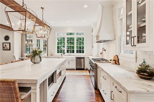 kitchen featuring stainless steel appliances, custom exhaust hood, a healthy amount of sunlight, and wood finished floors