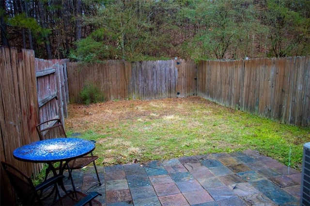 view of yard featuring a patio