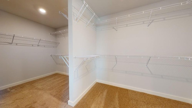 142 Post Oak Dr, Jackson, GA 30233 - walk in closet with carpet floors