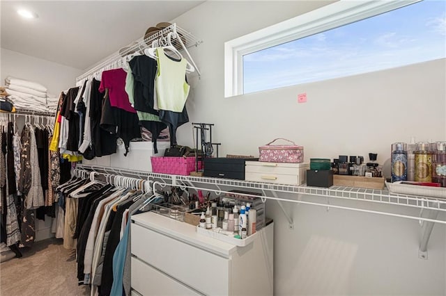 7985 Welch Ml, Ball Ground, GA 30107 - walk in closet featuring carpet flooring