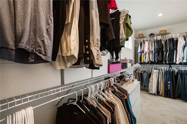 7985 Welch Ml, Ball Ground, GA 30107 - spacious closet with carpet