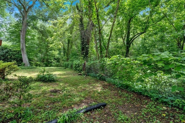 view of yard with a forest view
