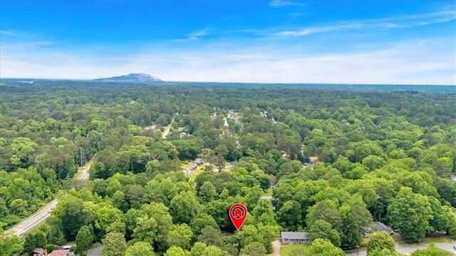 aerial view of a forest and a mountainous background