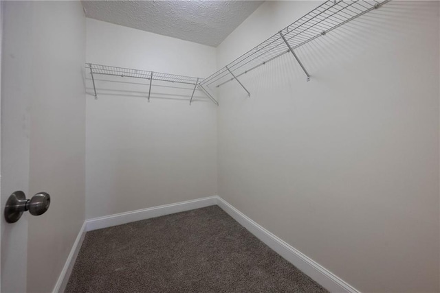 walk in closet with dark carpet