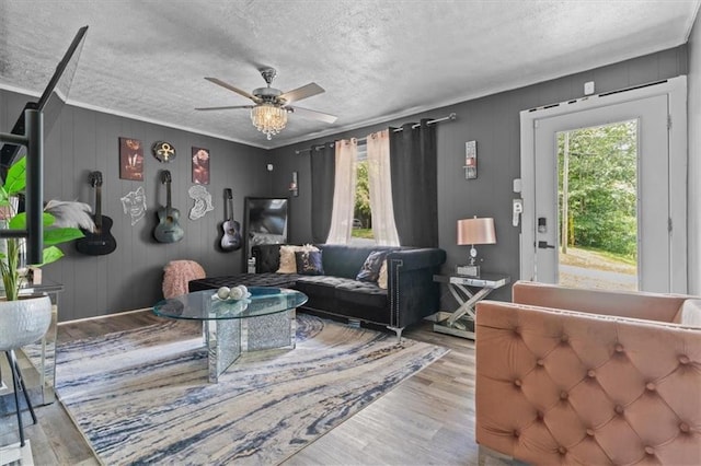 5143 3rd St, Morrow, GA 30260 - living room with plenty of natural light, a textured ceiling, wood finished floors, ceiling fan, and crown molding