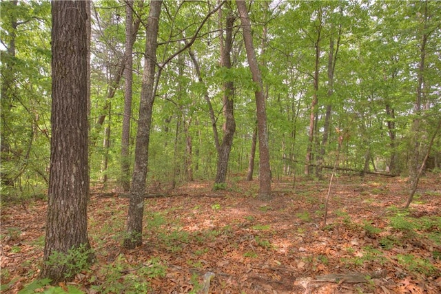 302 Bluestern Dr SE, Big Canoe, GA 30143
