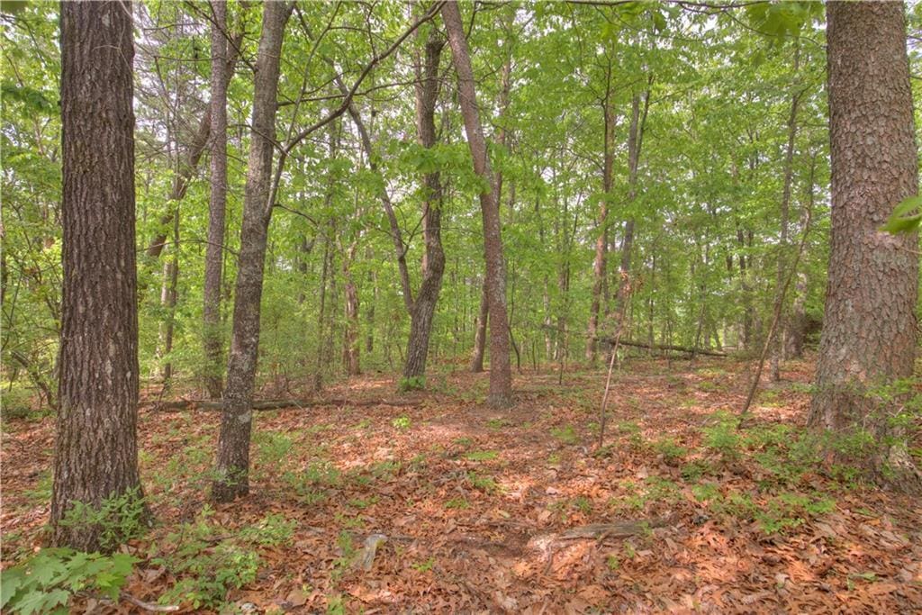 302 Bluestern Dr SE, Big Canoe, GA 30143