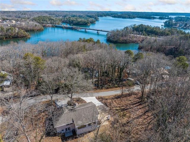 birds eye view of property with a water view and a forest view