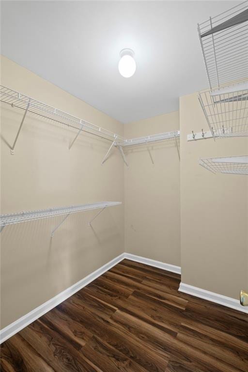 5159 Wellsley Bnd, Alpharetta, GA 30005 - walk in closet featuring wood finished floors