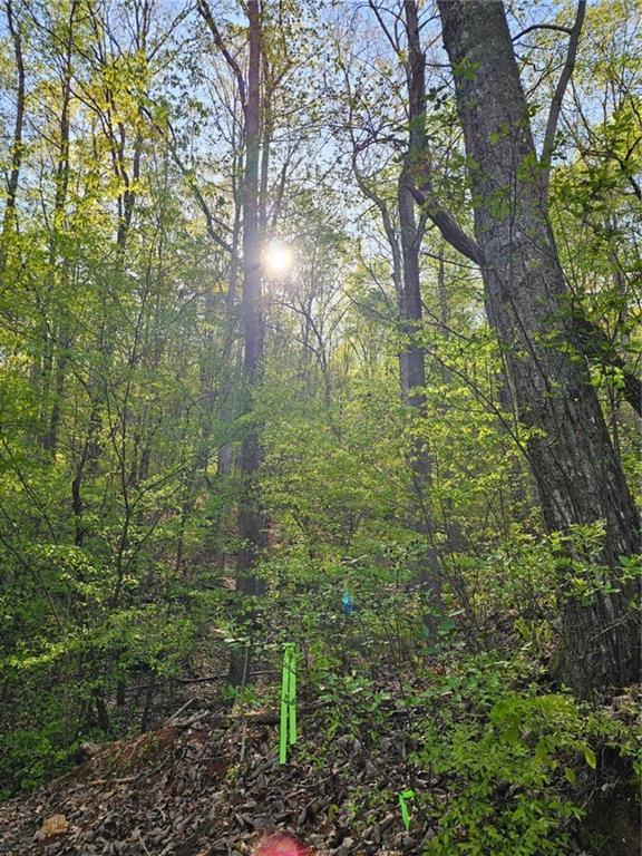 418 Dunaway Gap NE, Summerville, GA 30747