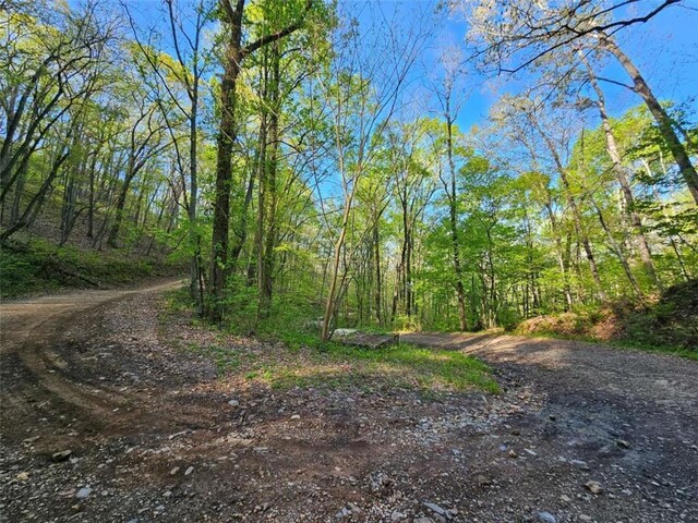 418 Dunaway Gap NE, Summerville, GA 30747