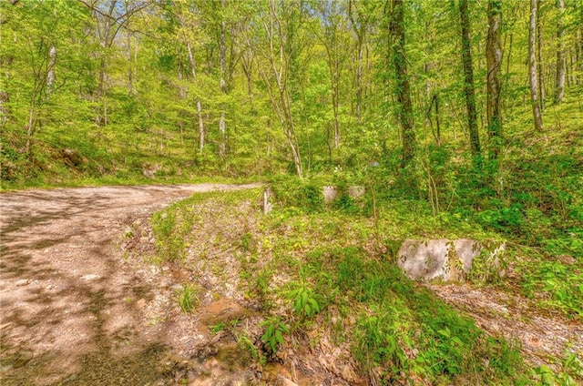 418 Dunaway Gap NE, Summerville, GA 30747