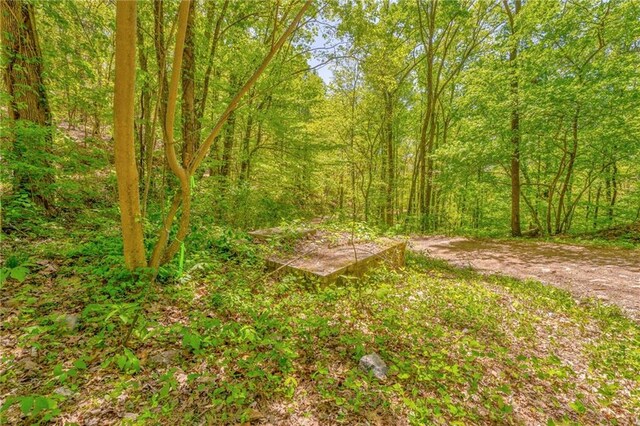 418 Dunaway Gap NE, Summerville, GA 30747