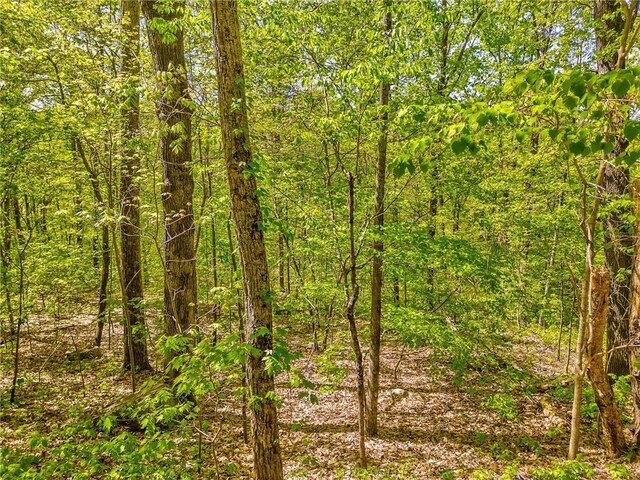418 Dunaway Gap NE, Summerville, GA 30747