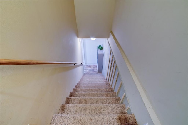 staircase featuring carpet floors