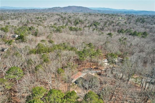 bird's eye view featuring a mountain view