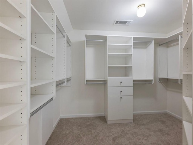 spacious closet with light colored carpet