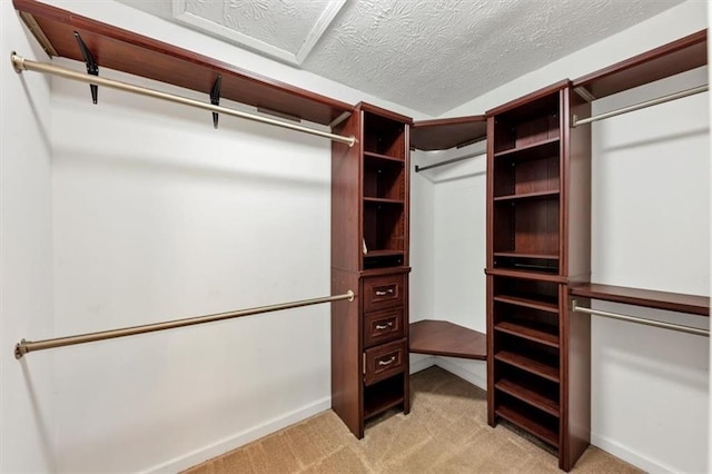 walk in closet featuring light colored carpet