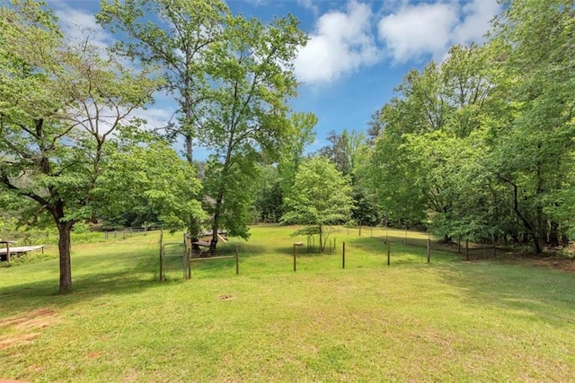 view of green lawn