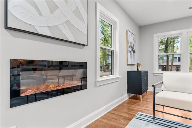 living area featuring hardwood / wood-style flooring and a healthy amount of sunlight