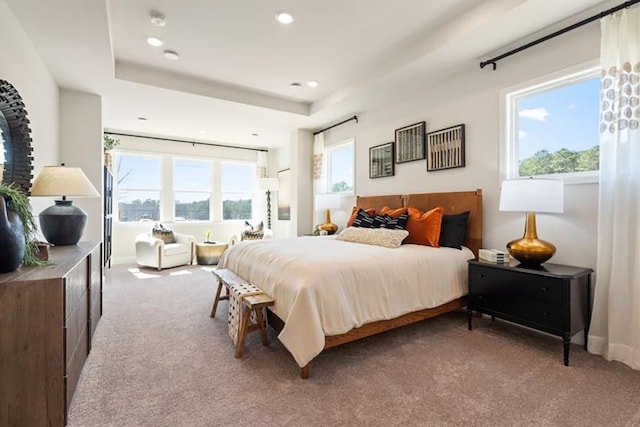 carpeted bedroom with a raised ceiling