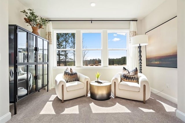 sitting room featuring carpet floors