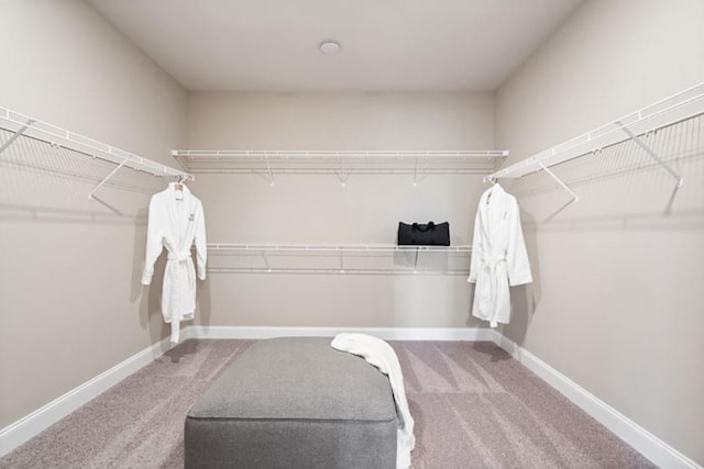 walk in closet with carpet