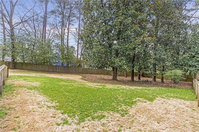 1631 Dresden Dr NE, Brookhaven, GA 30319 - view of yard